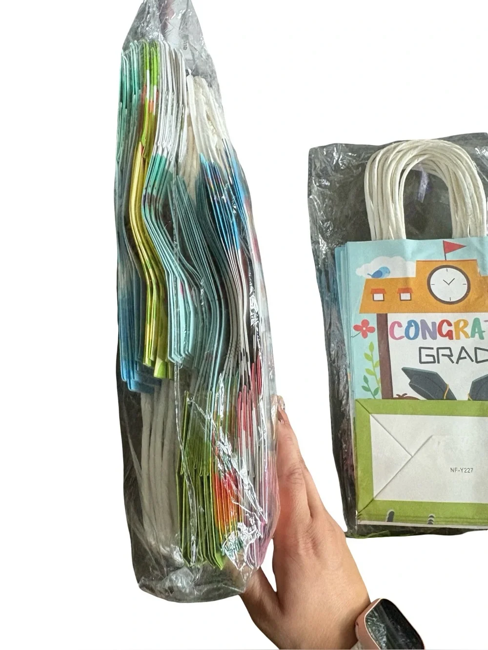 Graduation Gift Bags 42 count